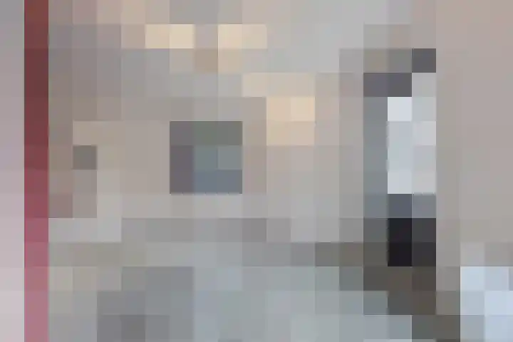Distelstraat 27 Eindhoven thumbnail 14