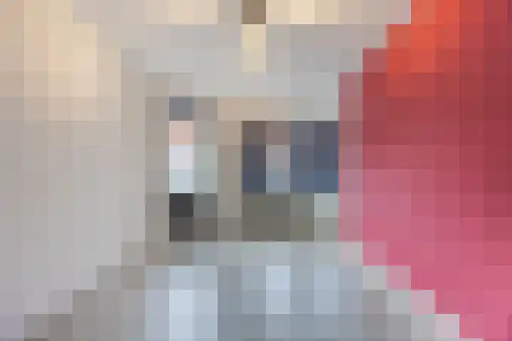 Distelstraat 27 Eindhoven thumbnail 16