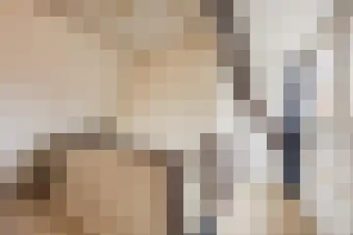 Distelstraat 27 Eindhoven thumbnail 22