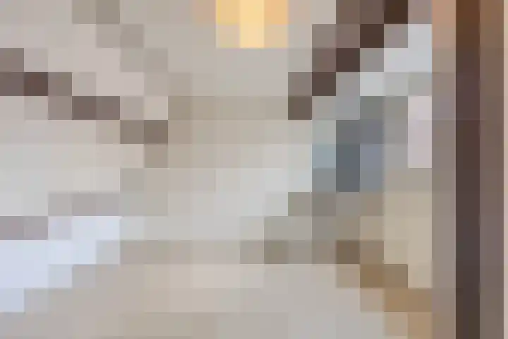 Distelstraat 27 Eindhoven thumbnail 24