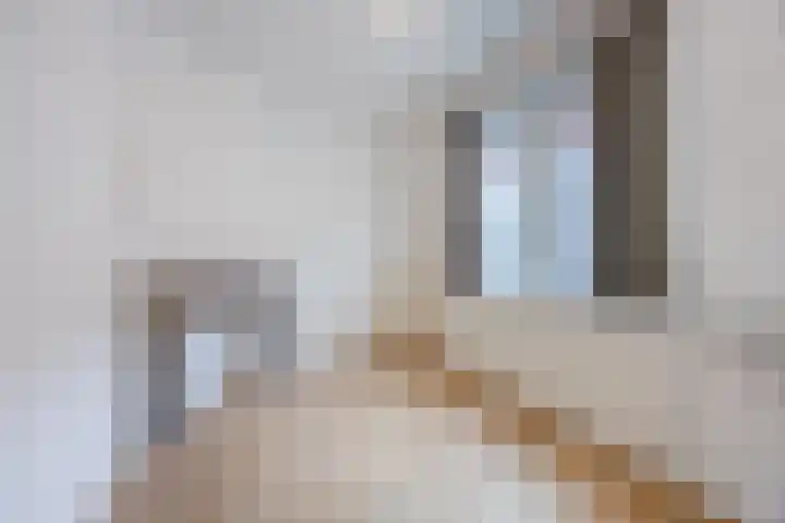 Distelstraat 27 Eindhoven thumbnail 8