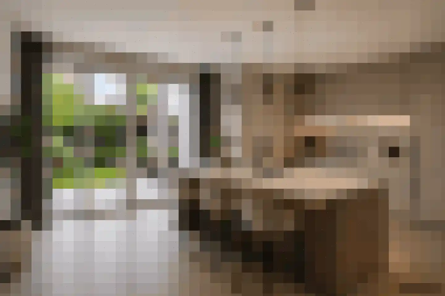 Distelstraat 28 Oisterwijk thumbnail 11