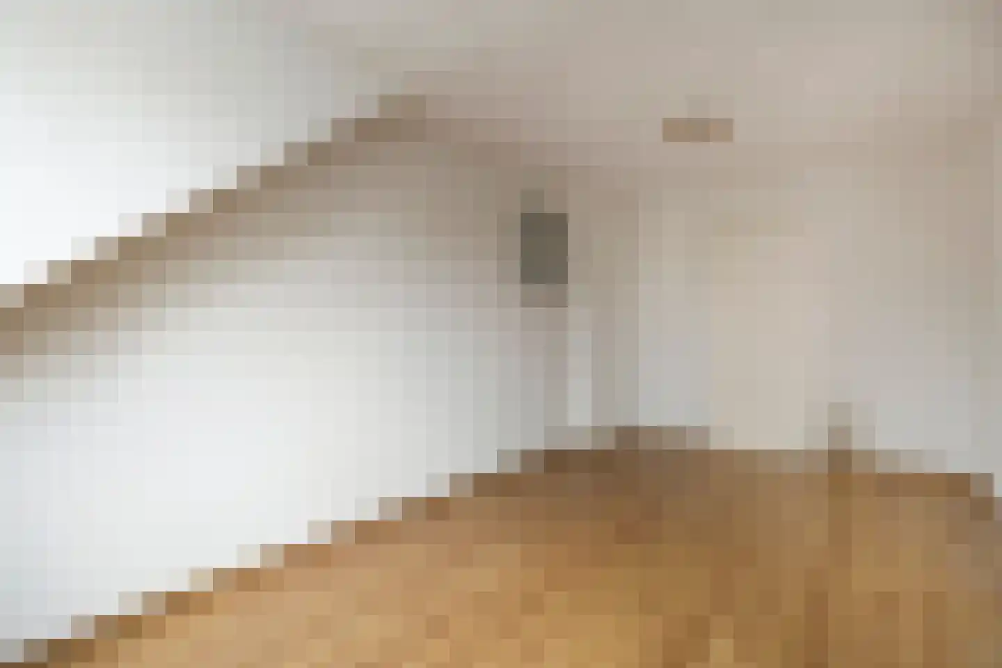 Distelstraat 28 Oisterwijk thumbnail 20
