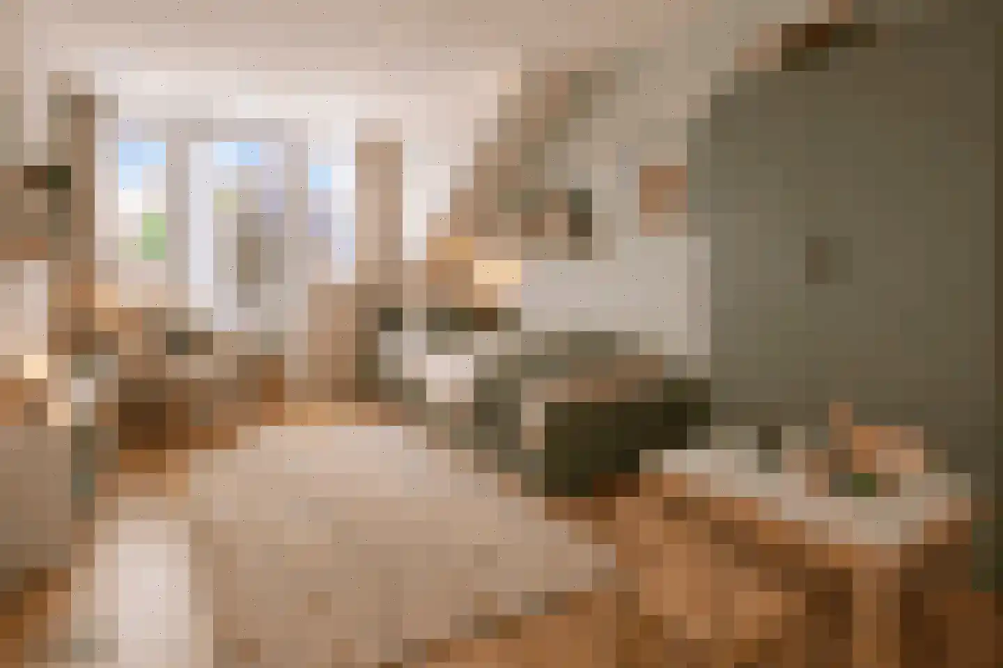 Distelstraat 28 Oisterwijk thumbnail 21