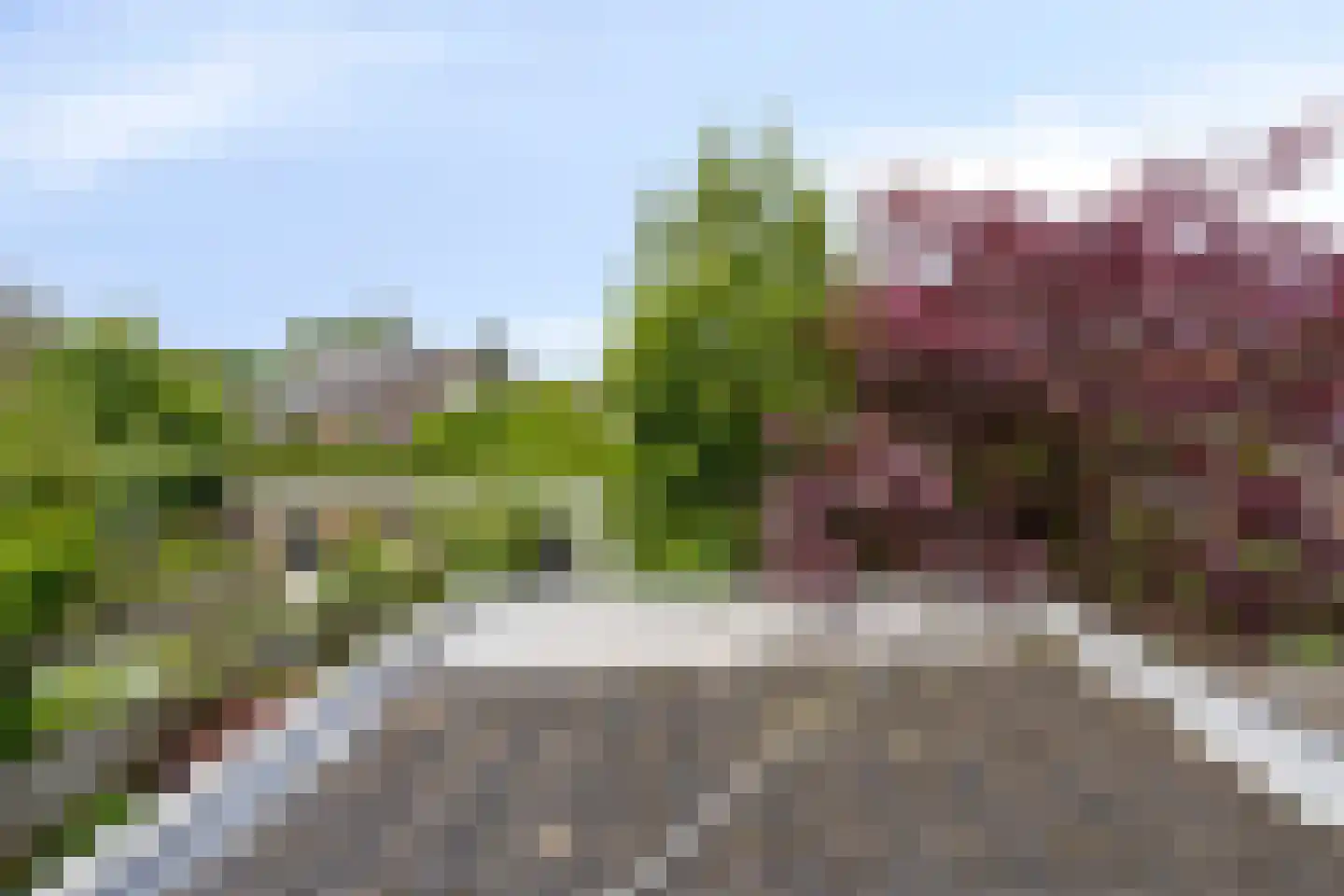 Distelstraat 28 Oisterwijk thumbnail 22