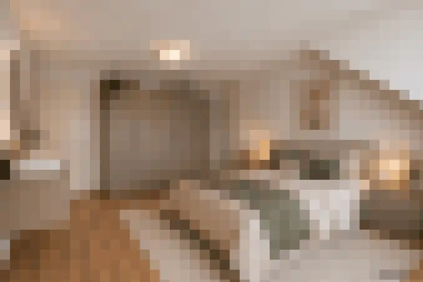 Distelstraat 28 Oisterwijk thumbnail 29