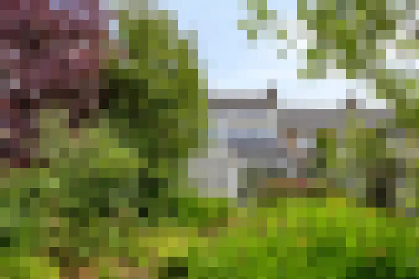 Distelstraat 28 Oisterwijk thumbnail 37
