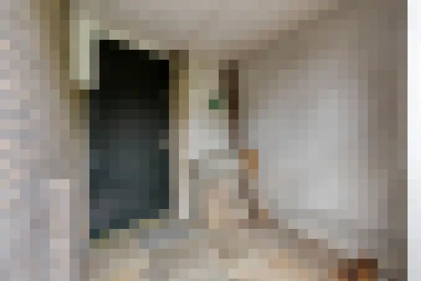 Distelstraat 28 Oisterwijk thumbnail 38