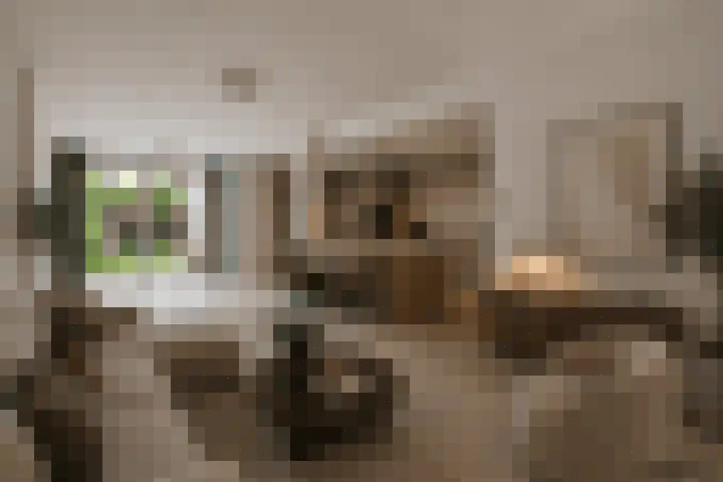 Distelstraat 28 Oisterwijk thumbnail 7