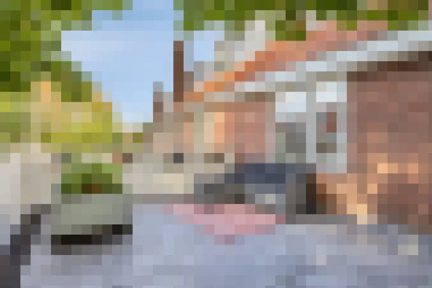 Distelstraat 30 A Eindhoven thumbnail 19