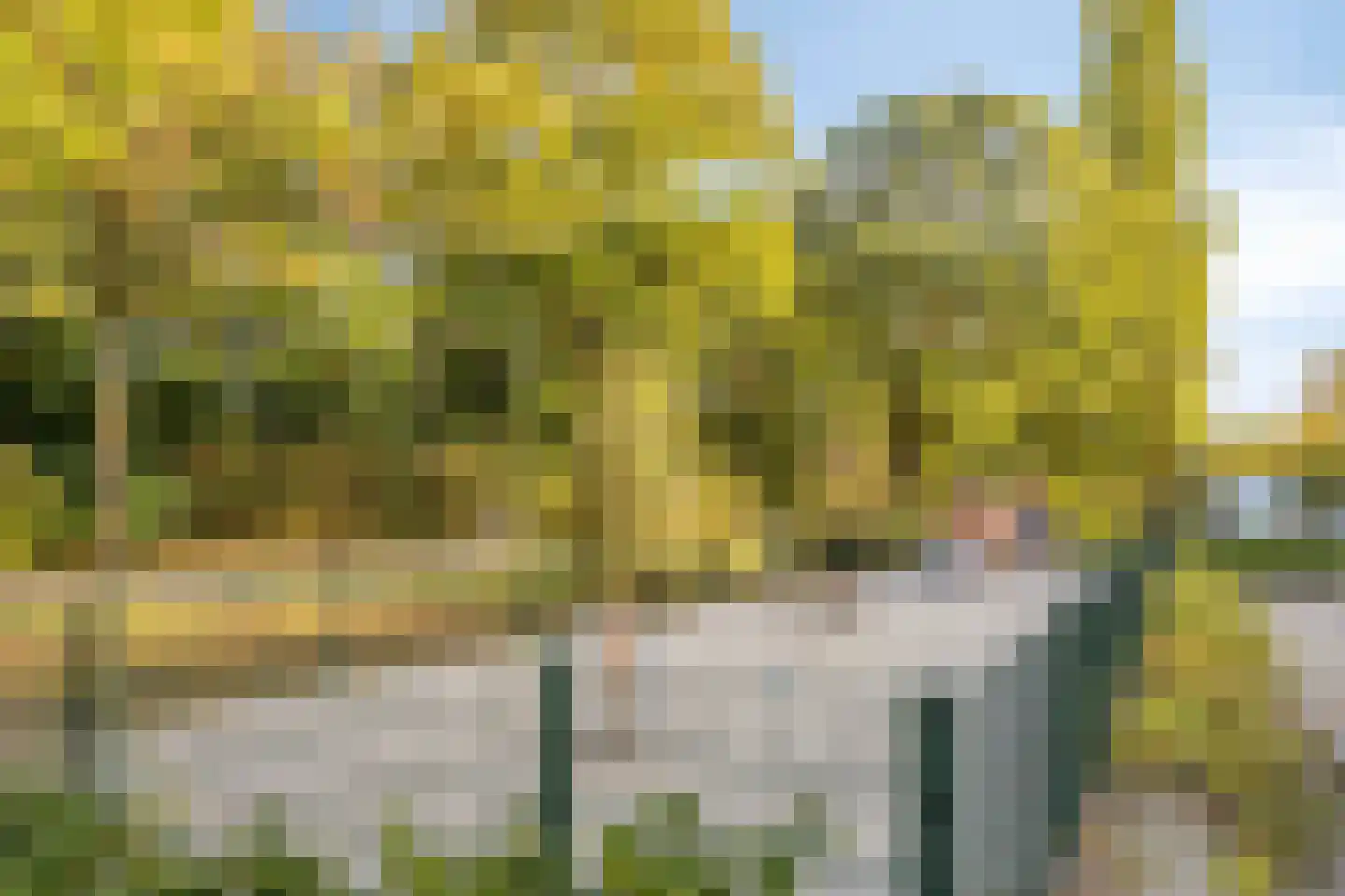Distelstraat 30 A Eindhoven thumbnail 35