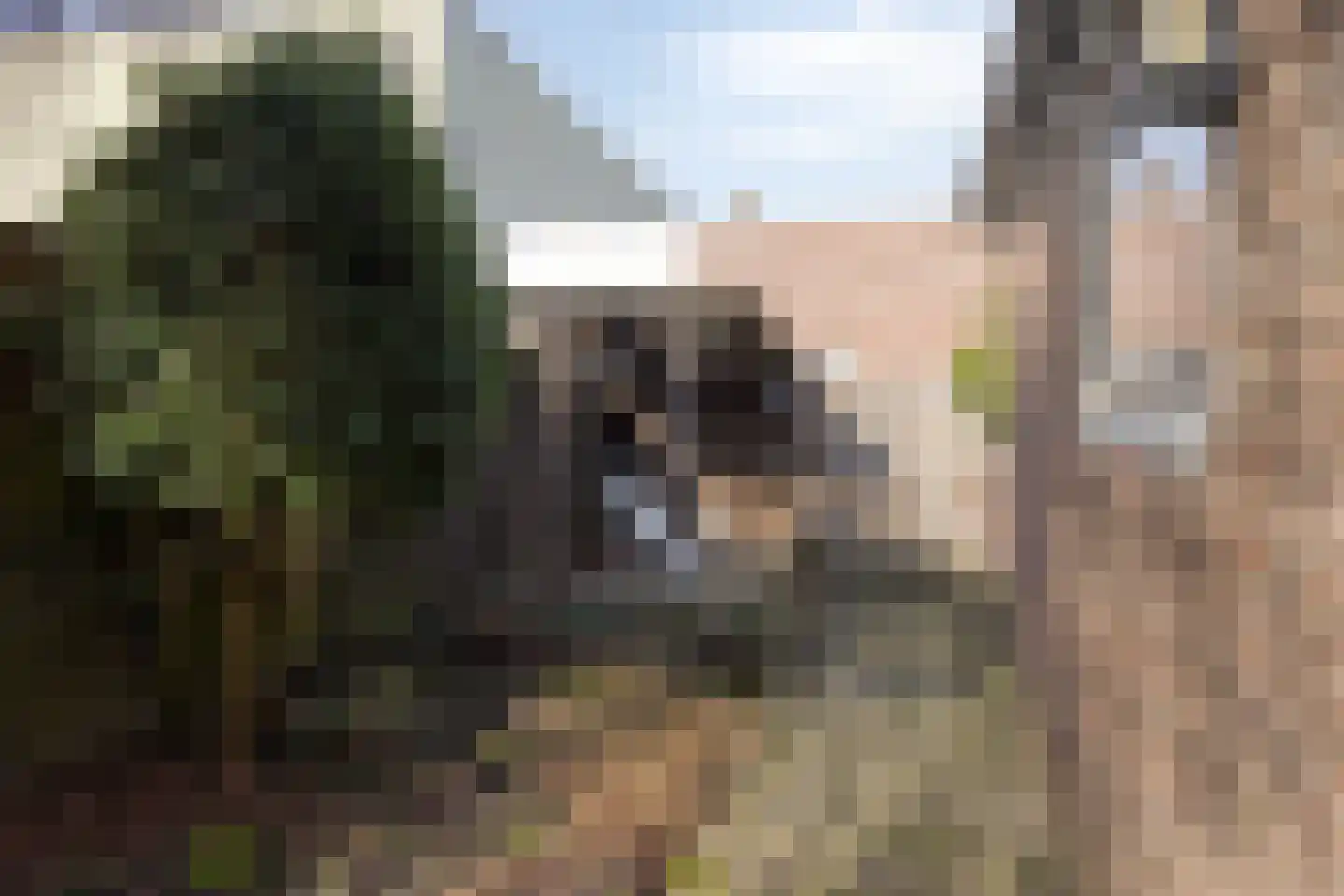 Distelstraat 30 Emmeloord thumbnail 29