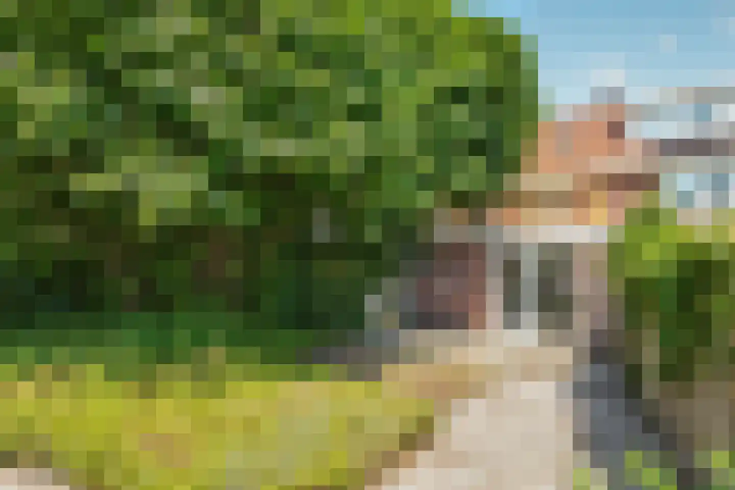 Distelstraat 32 Eindhoven thumbnail 26