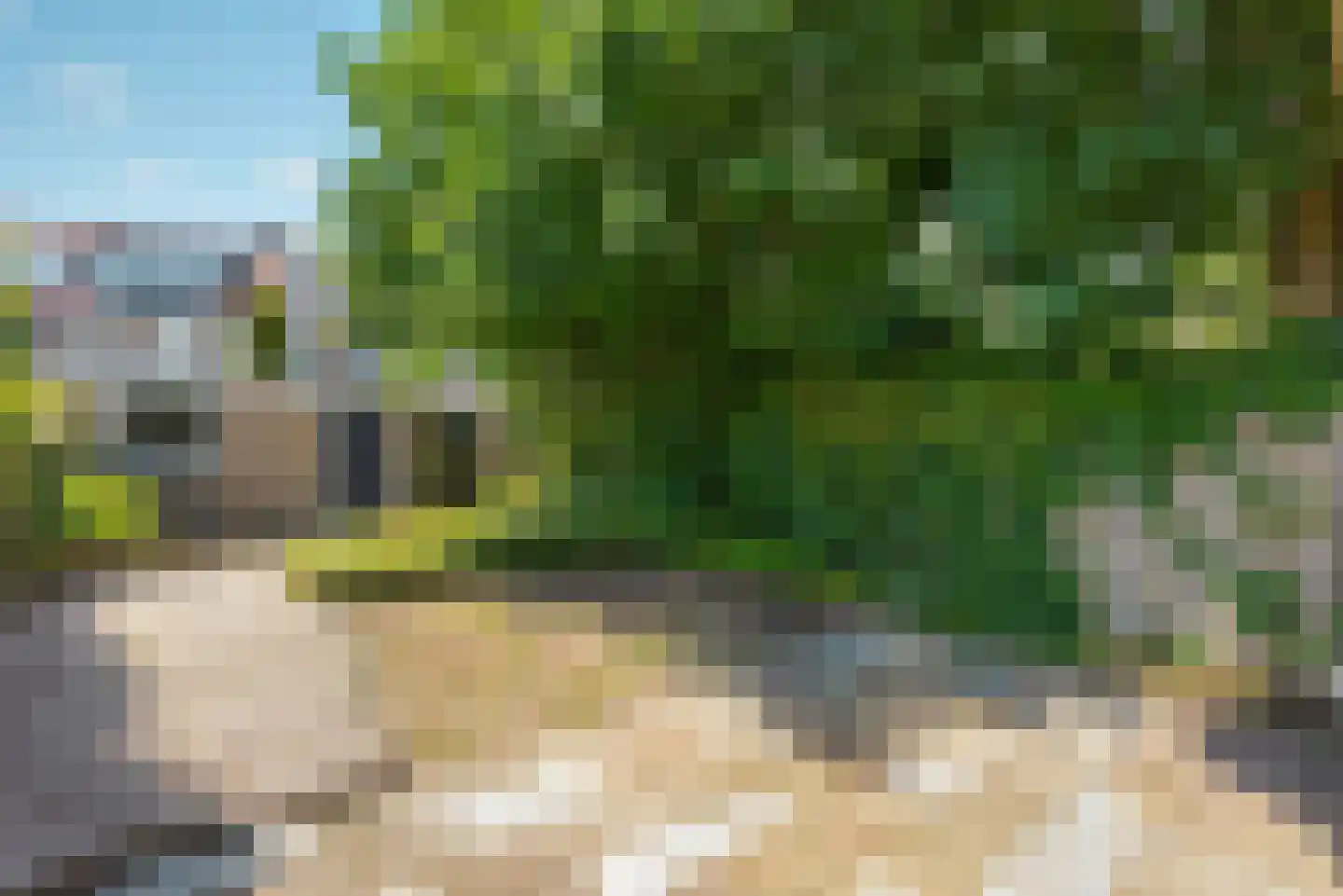 Distelstraat 32 Eindhoven thumbnail 5