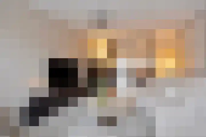 Distelstraat 32 Emmeloord thumbnail 21
