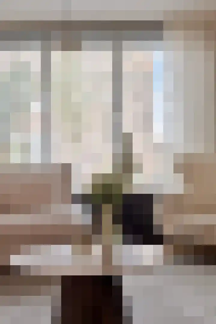 Distelstraat 32 Emmeloord thumbnail 27