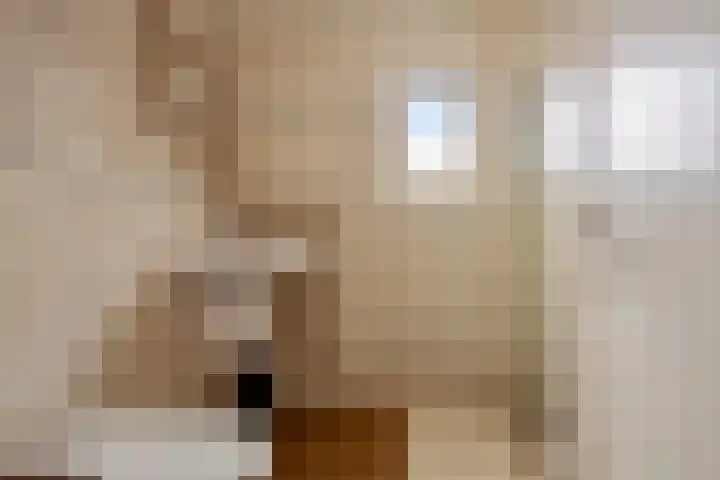 Distelstraat 32 Emmeloord thumbnail 37
