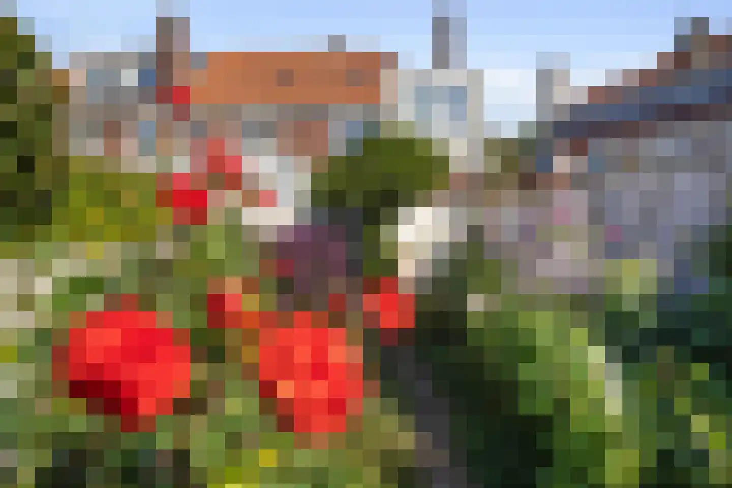 Distelstraat 38 Eindhoven thumbnail 32