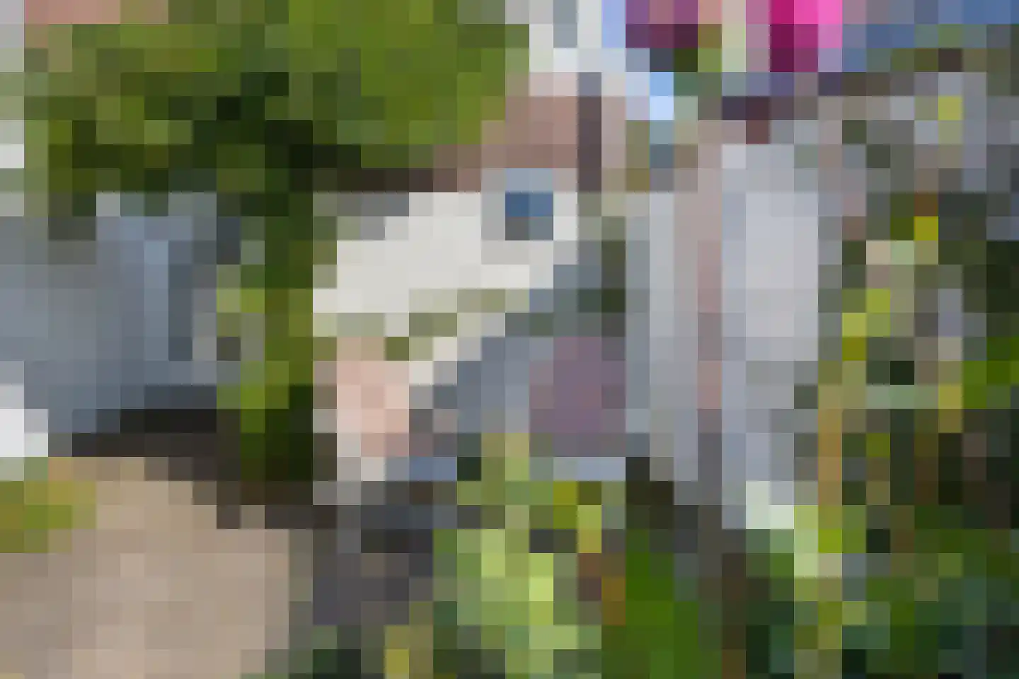 Distelstraat 38 Eindhoven thumbnail 34