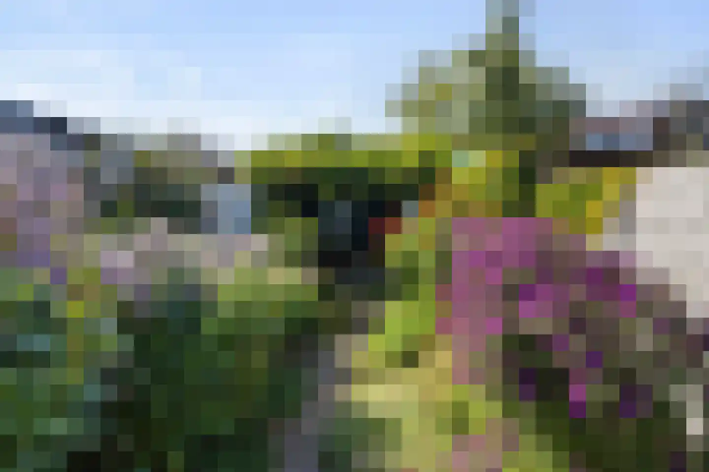 Distelstraat 38 Eindhoven thumbnail 35