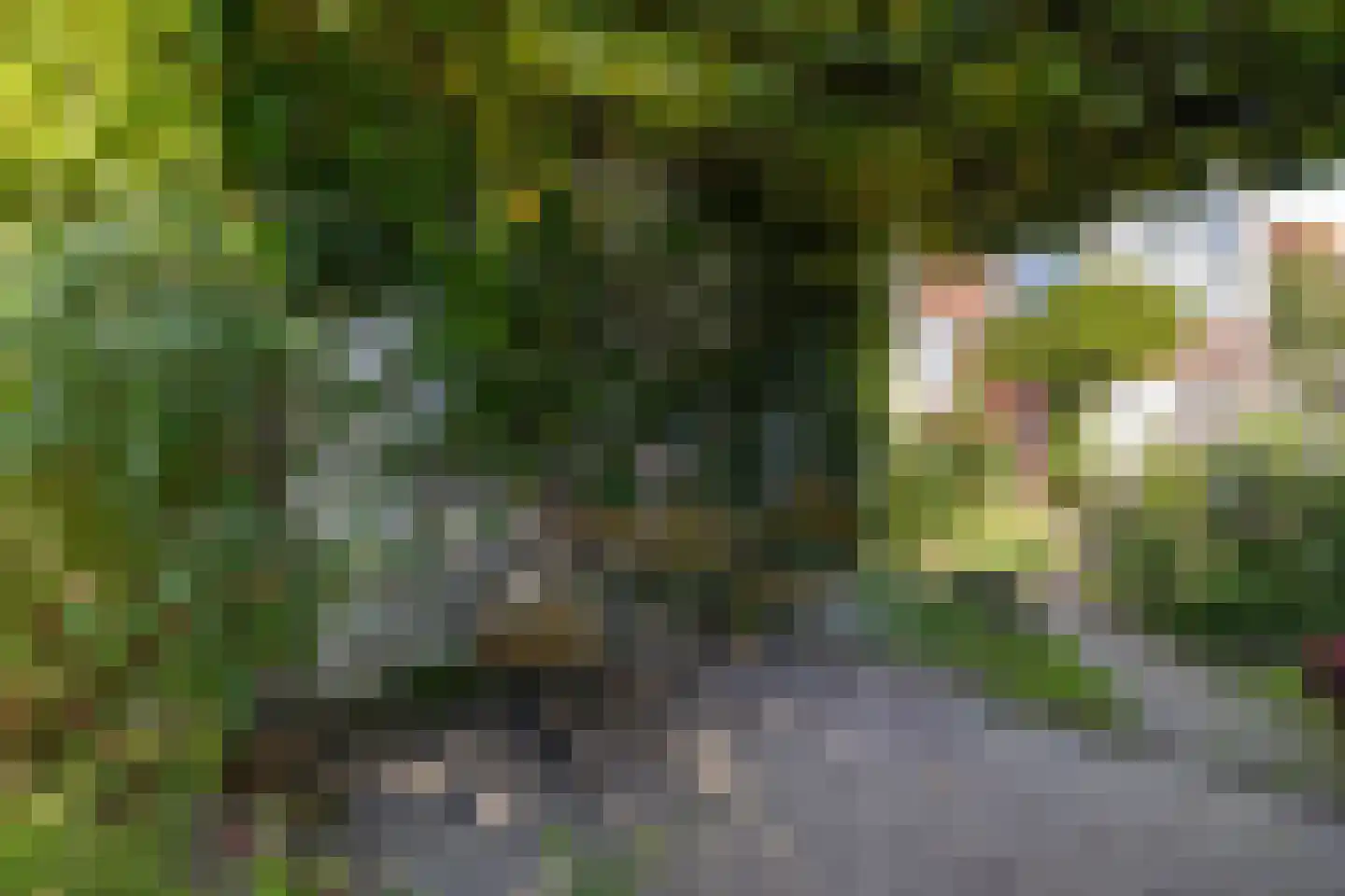 Distelstraat 38 Eindhoven thumbnail 36