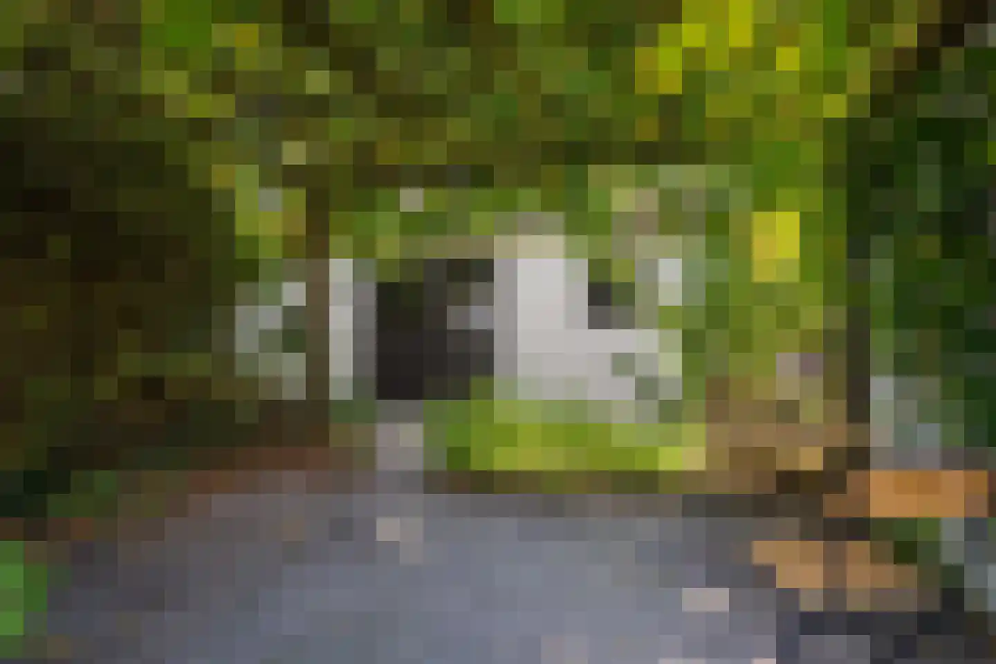 Distelstraat 38 Eindhoven thumbnail 37