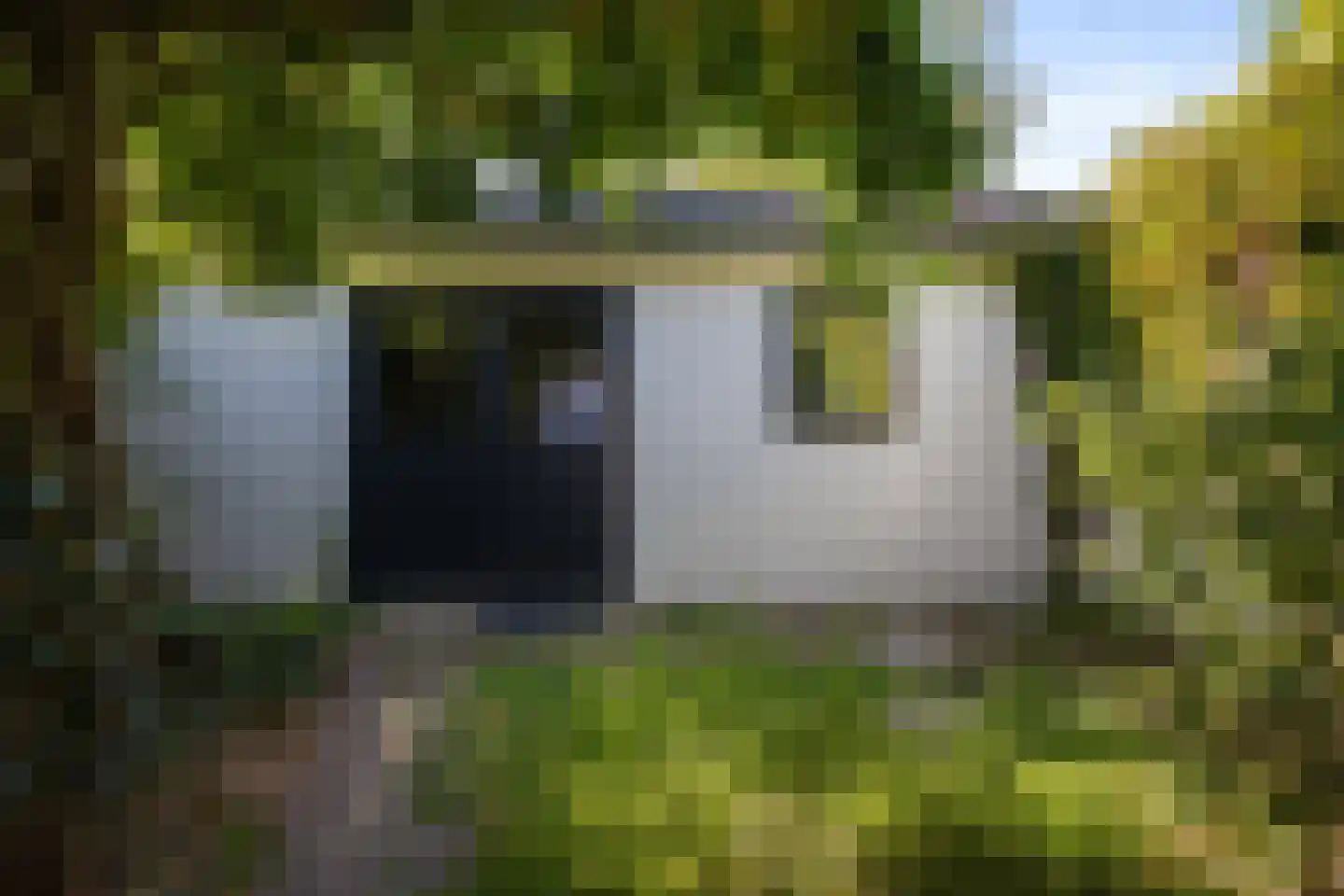 Distelstraat 38 Eindhoven thumbnail 38