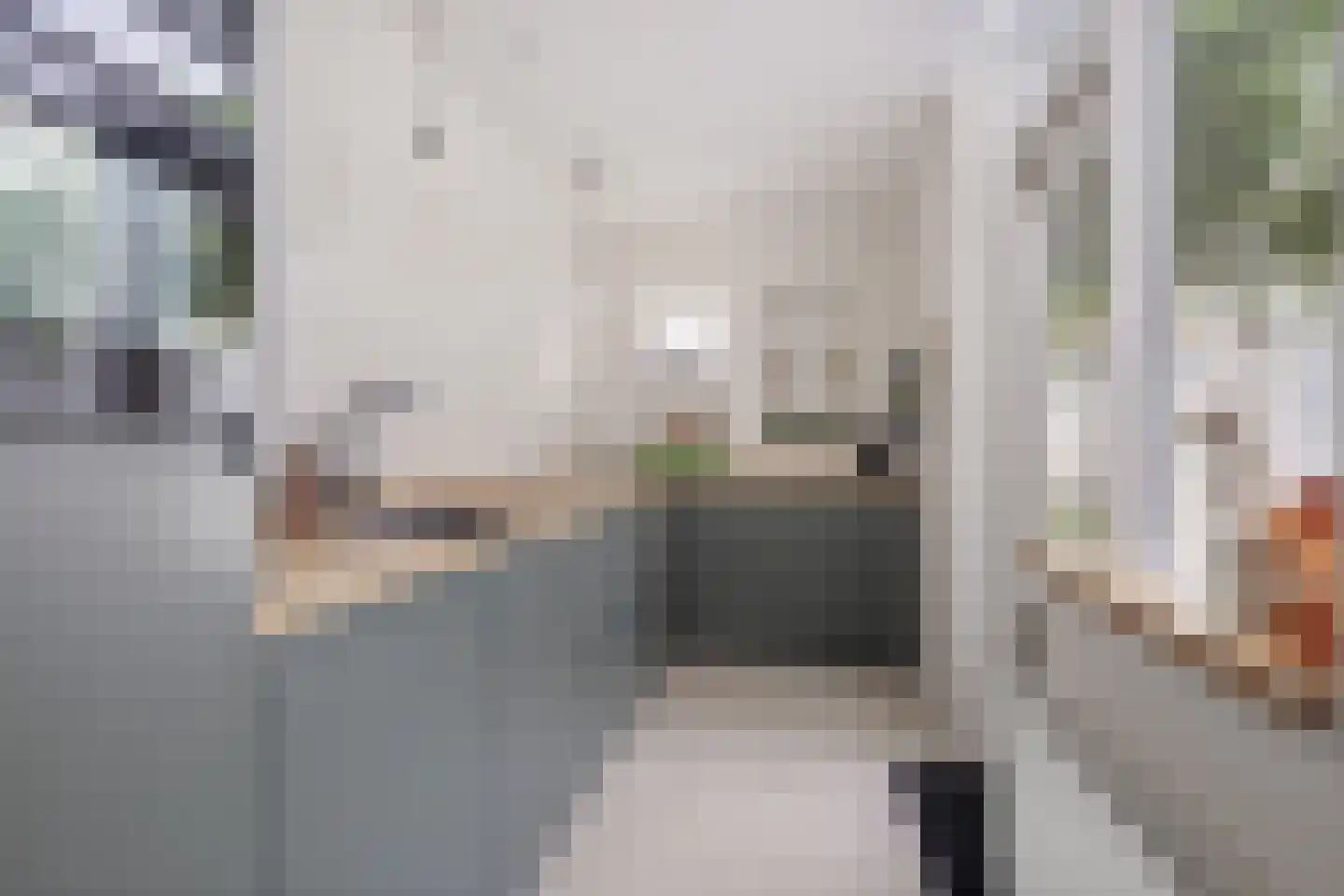 Distelstraat 38 Eindhoven thumbnail 5