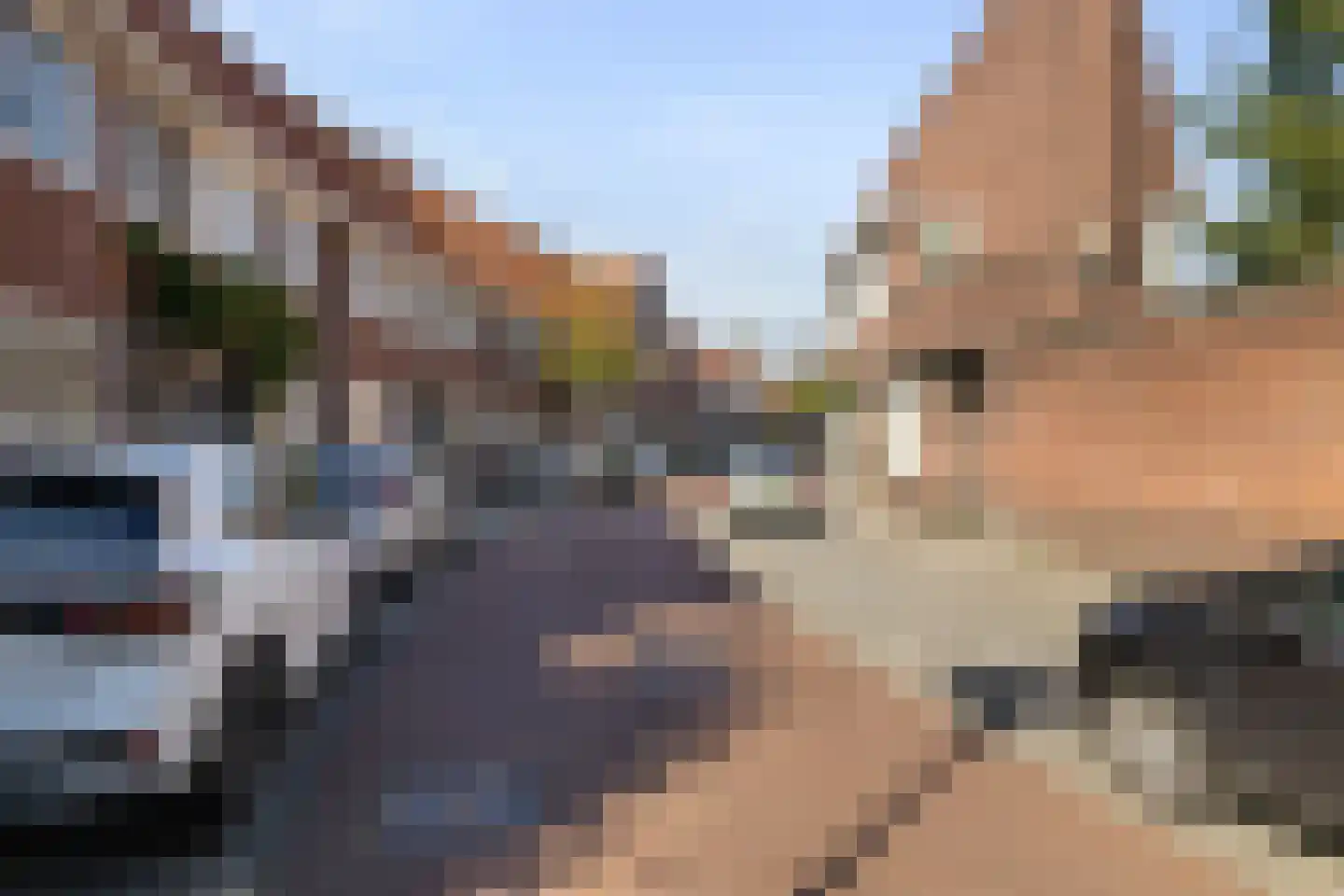 Distelstraat 38 Eindhoven thumbnail 7
