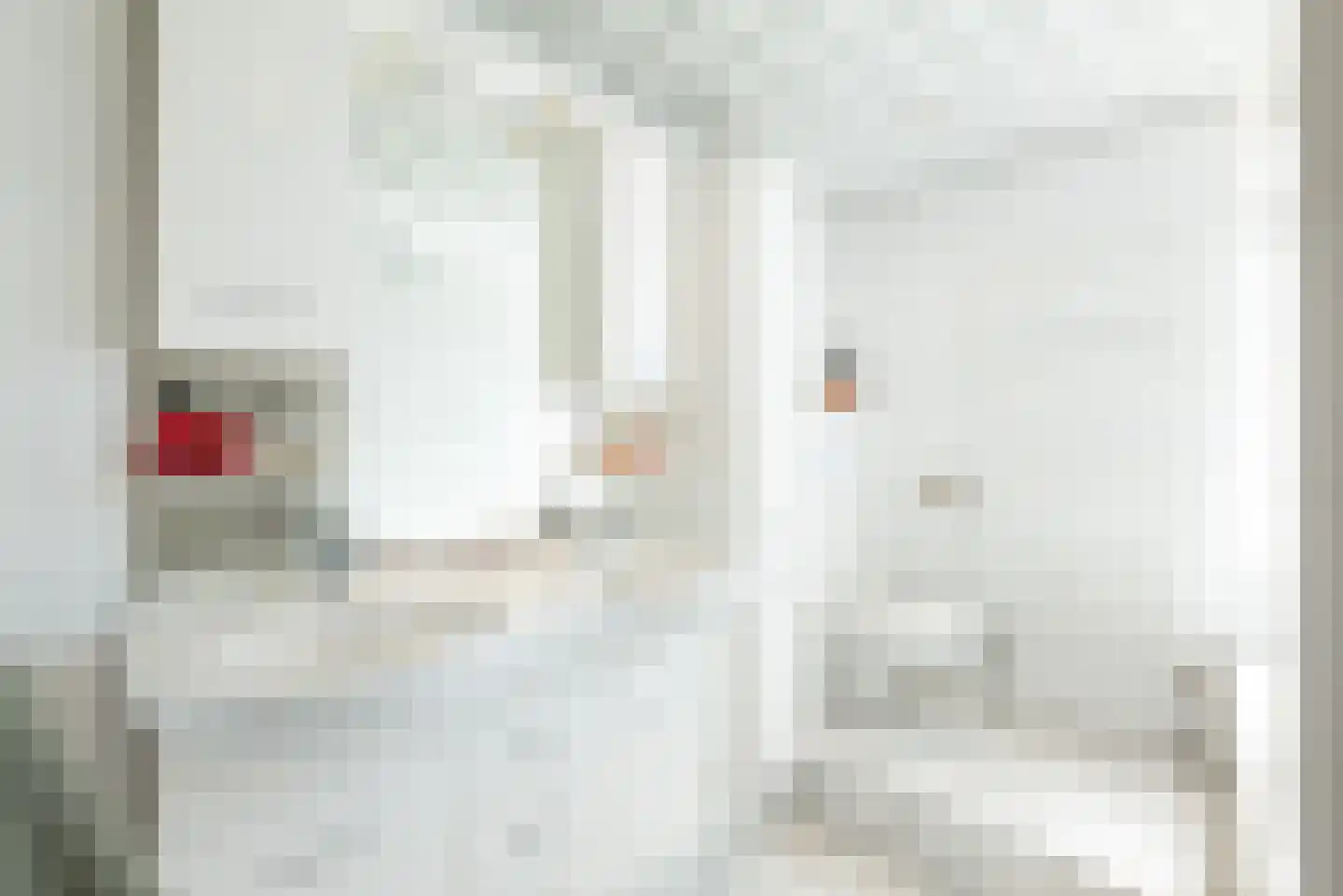 Distelstraat 4 Hellevoetsluis thumbnail 37