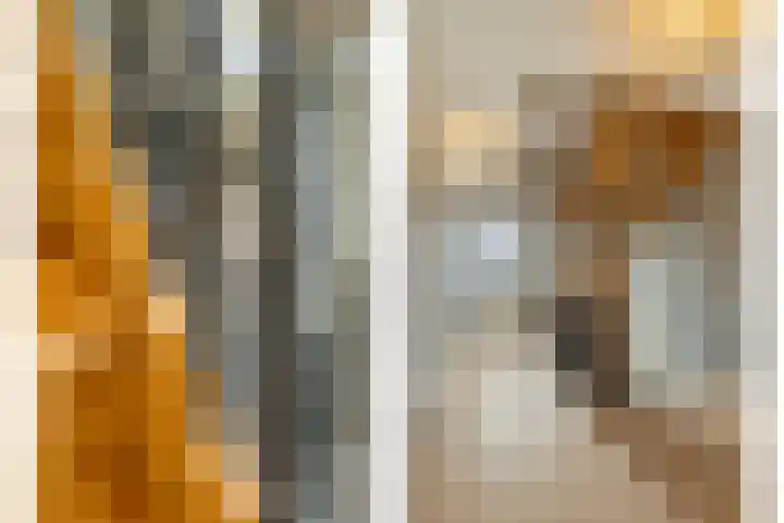 Distelstraat 4 Heythuysen thumbnail 24