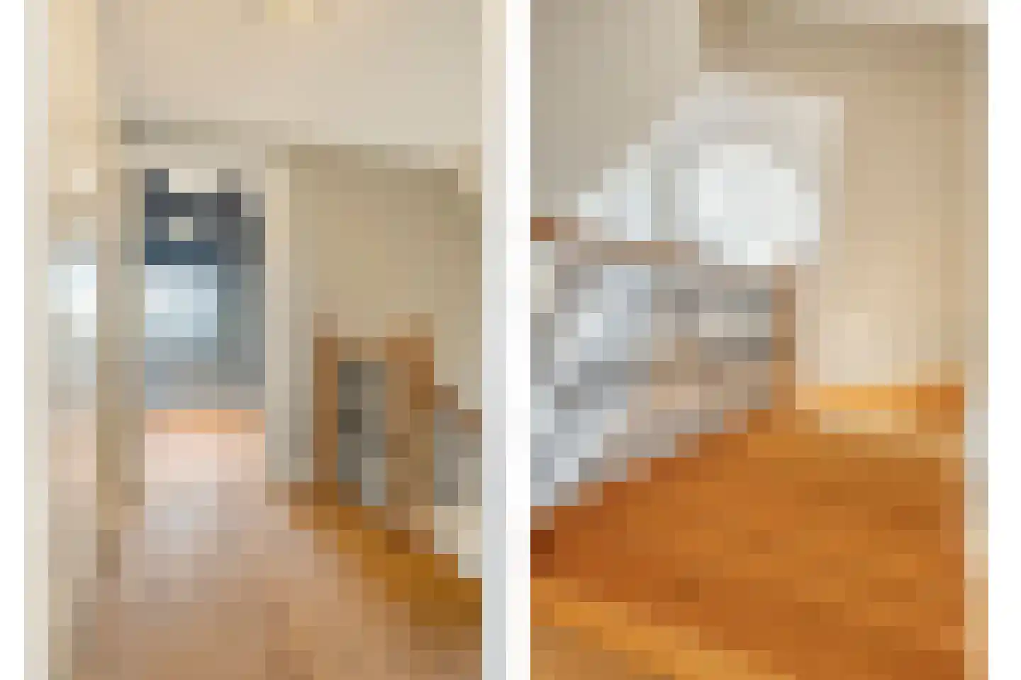 Distelstraat 4 Heythuysen thumbnail 43