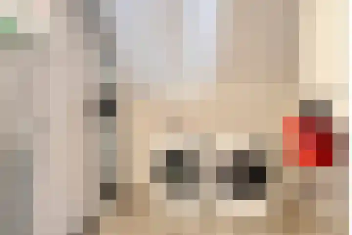 Distelstraat 4 Heythuysen thumbnail 49