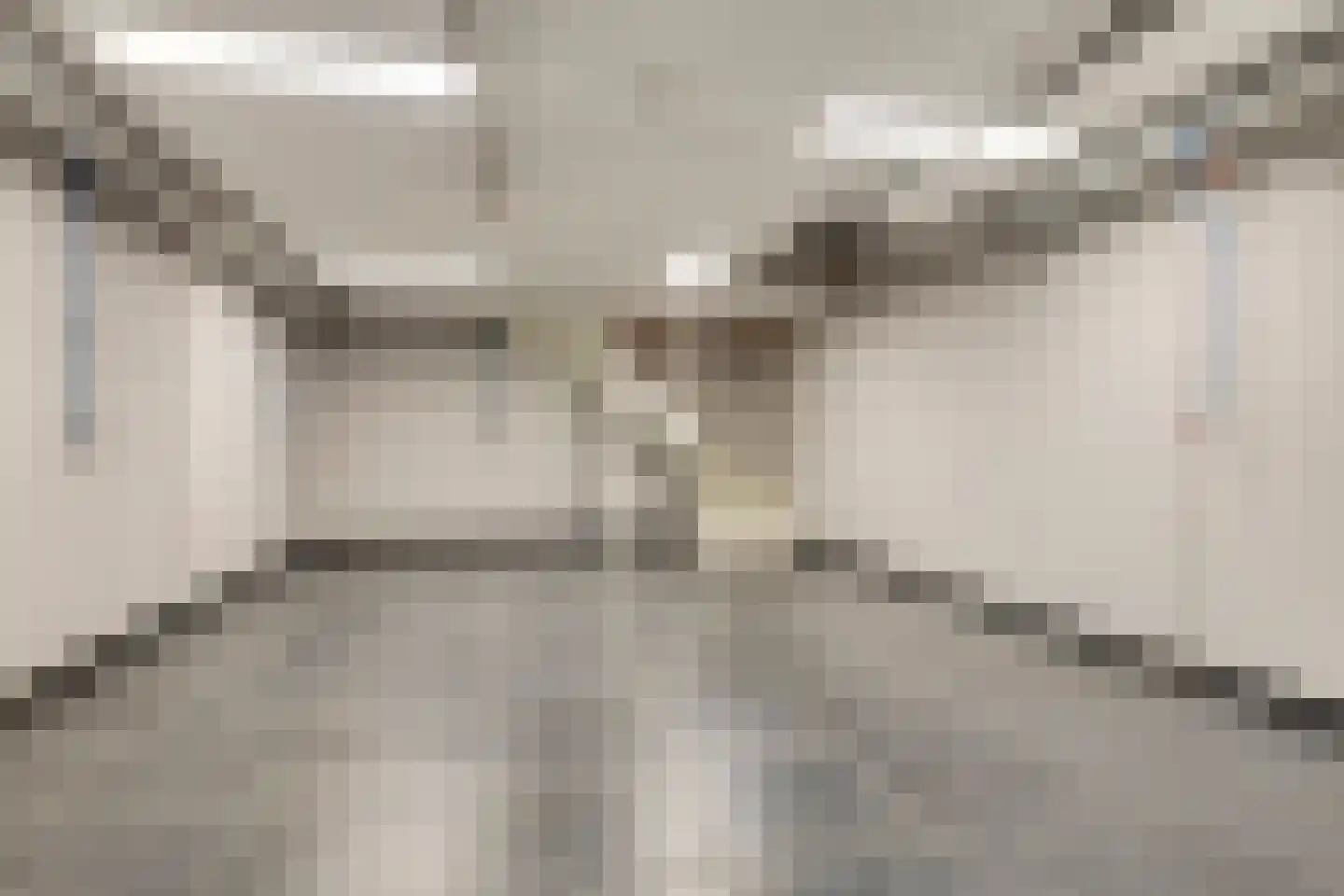 Distelstraat 4 Heythuysen thumbnail 51
