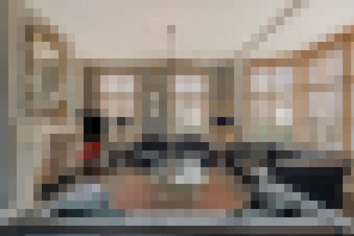 Distelstraat 4 Heythuysen thumbnail 8