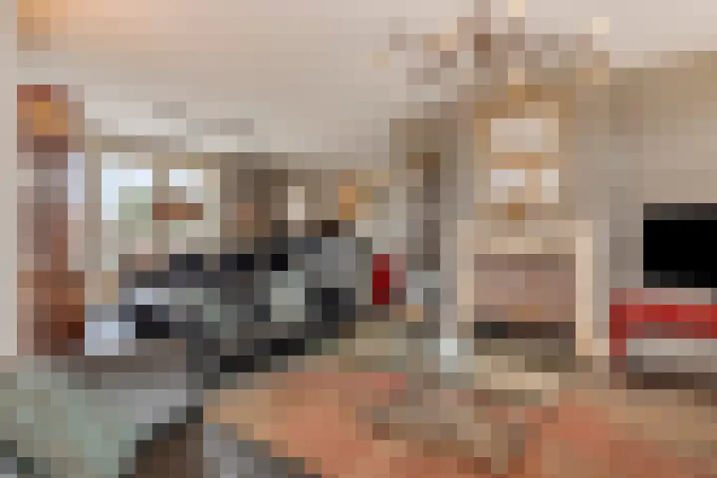 Distelstraat 4 Heythuysen thumbnail 9