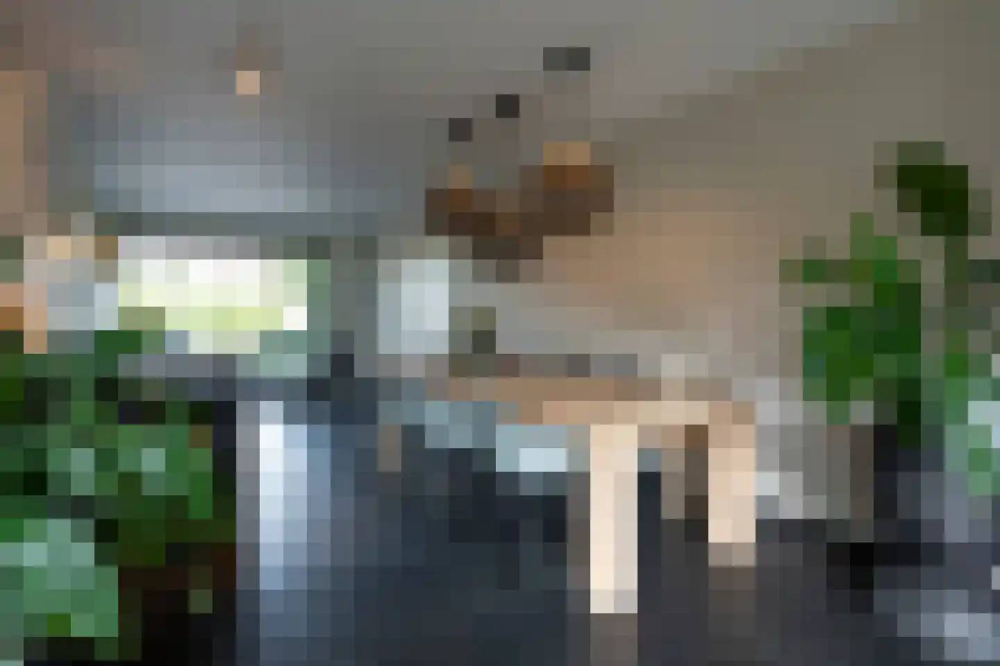 Distelstraat 7 Oisterwijk thumbnail 11