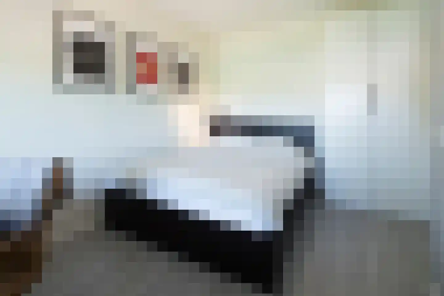 Distelstraat 7 Oisterwijk thumbnail 21