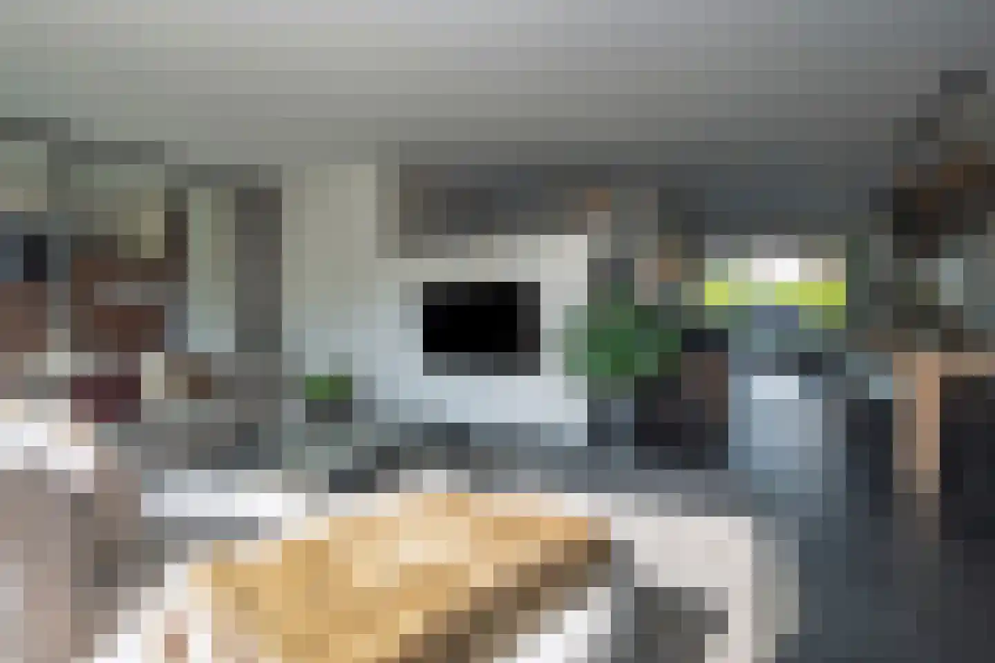 Distelstraat 7 Oisterwijk thumbnail 4