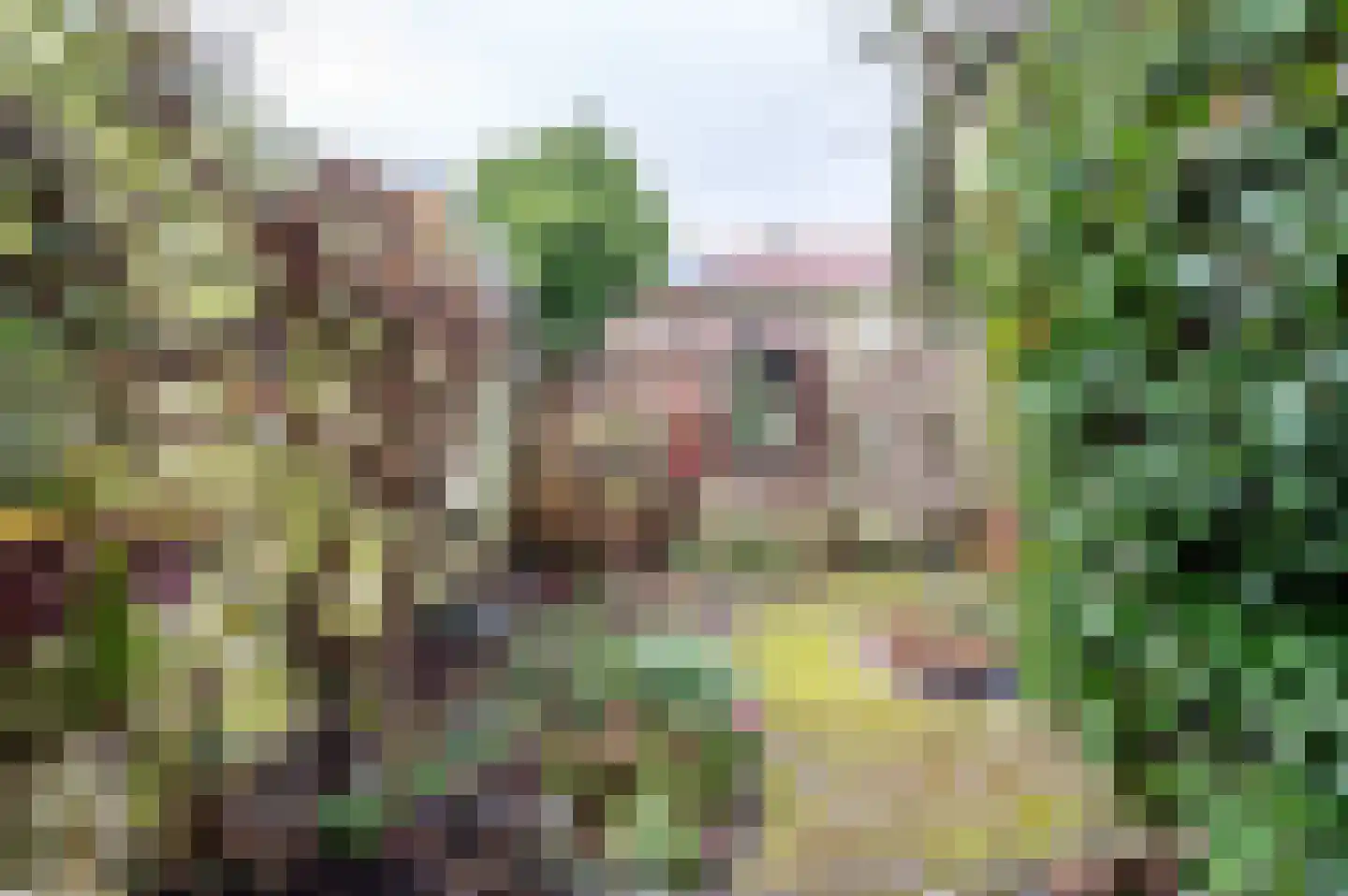 Distelstraat 87 Nijmegen thumbnail 36