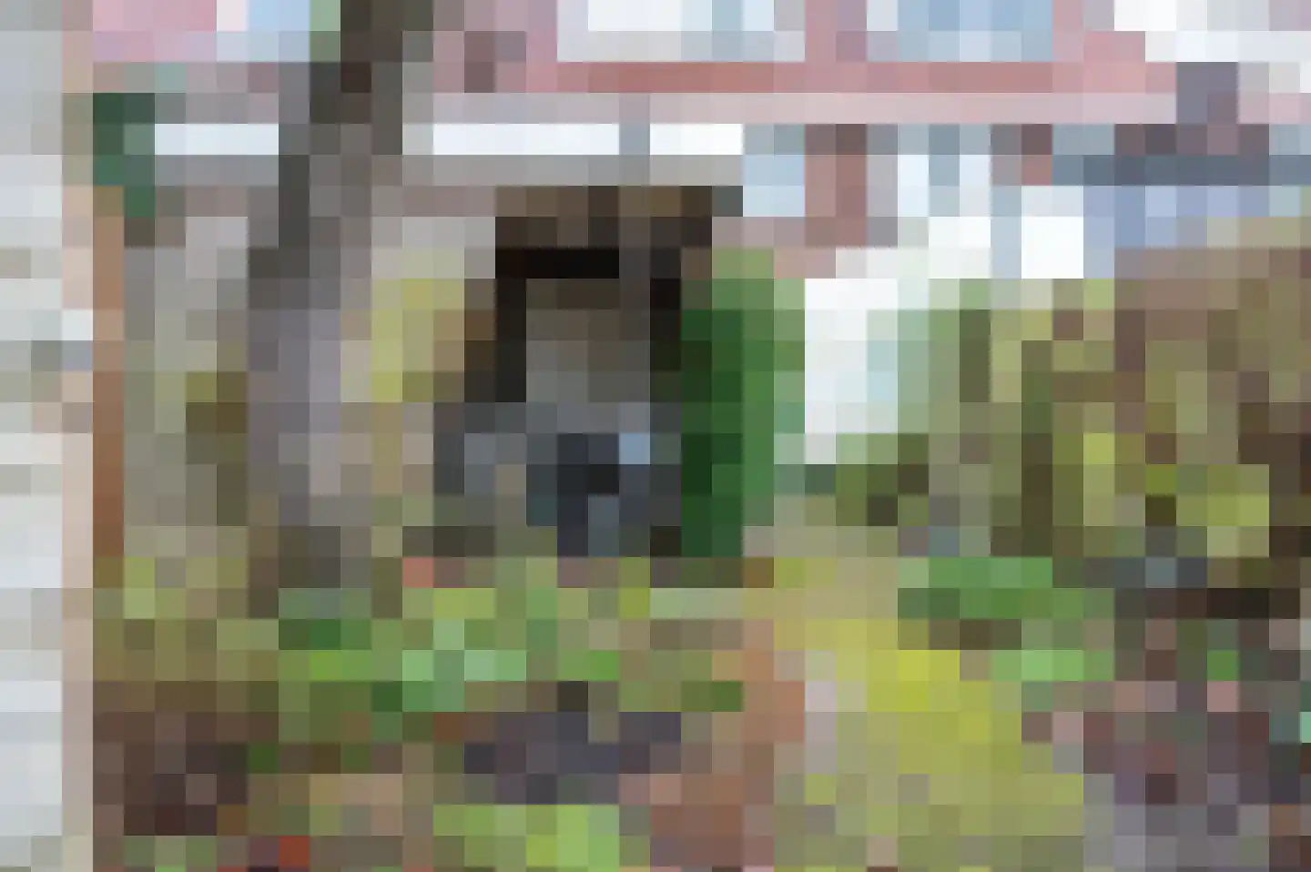 Distelstraat 87 Nijmegen thumbnail 39