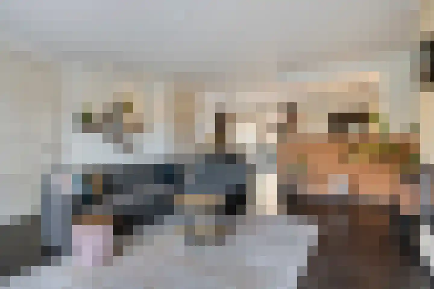 Distelveld 10 Wintelre thumbnail 12