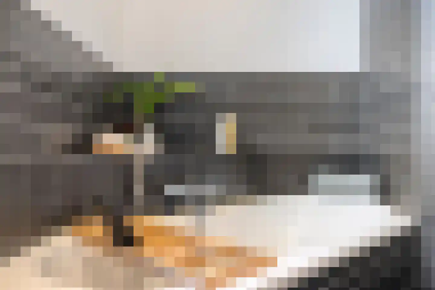 Distelveld 10 Wintelre thumbnail 38