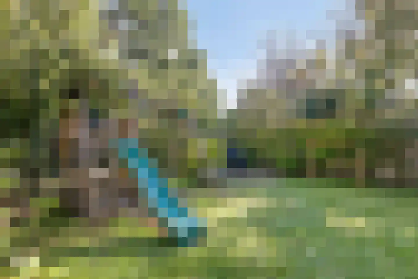 Distelveld 10 Wintelre thumbnail 50
