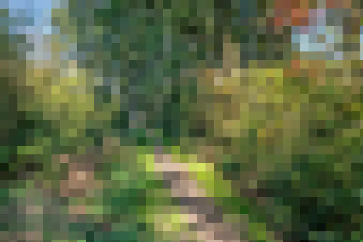 Distelveld 10 Wintelre thumbnail 56