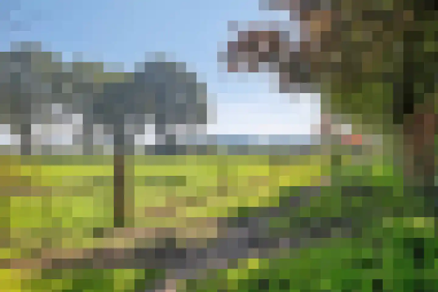 Distelveld 10 Wintelre thumbnail 57