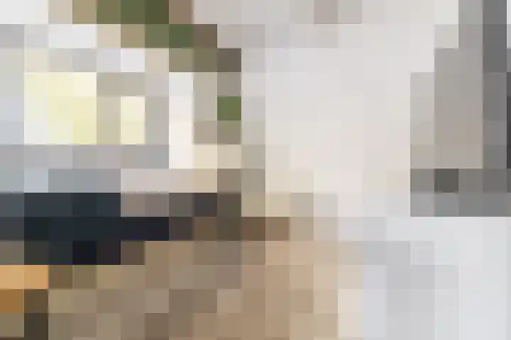 Distelveld 12 Bavel thumbnail 16
