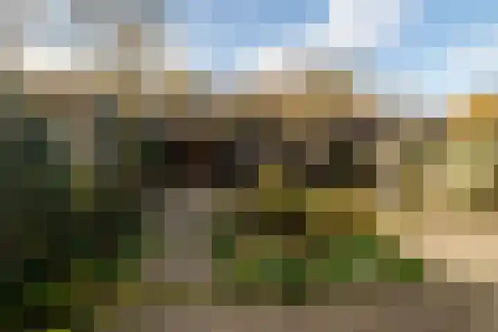 Distelveld 12 Bavel thumbnail 24