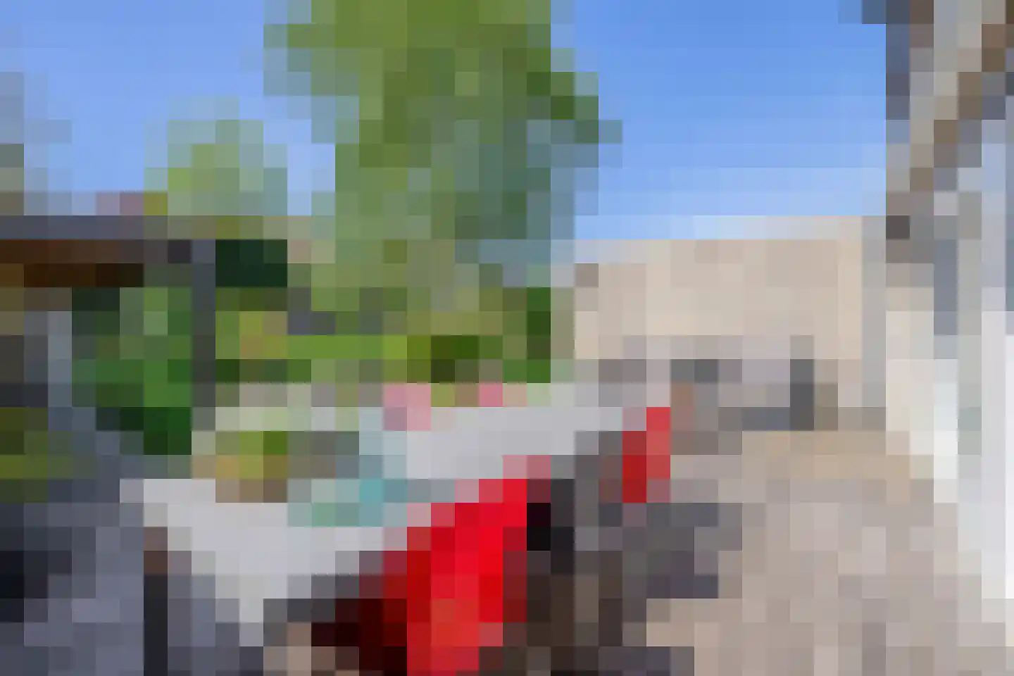 Distelveld 12 Waddinxveen thumbnail 15