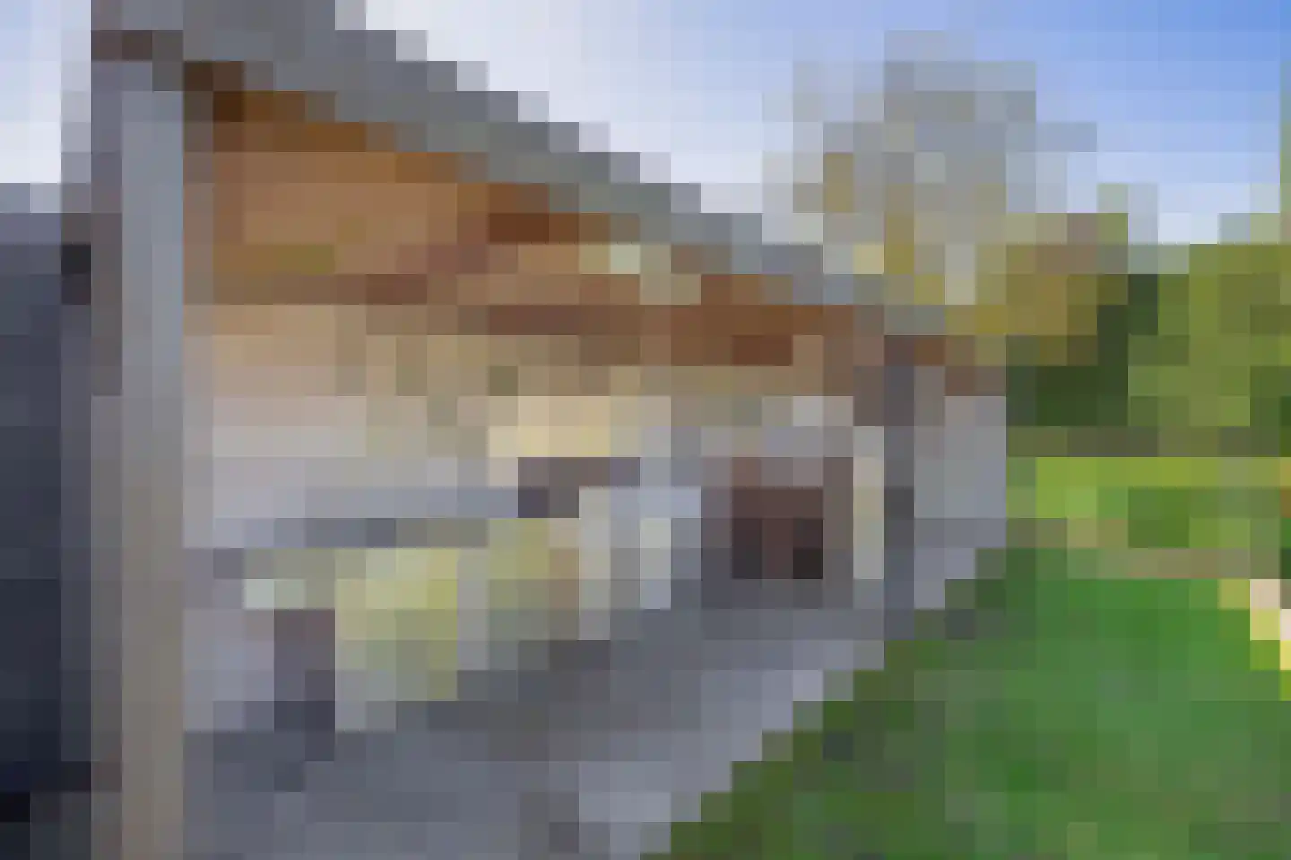 Distelveld 12 Waddinxveen thumbnail 16